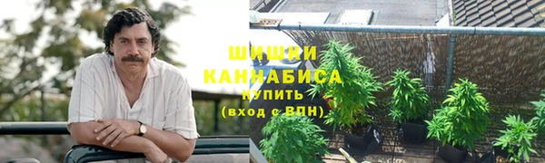 шишки Баксан