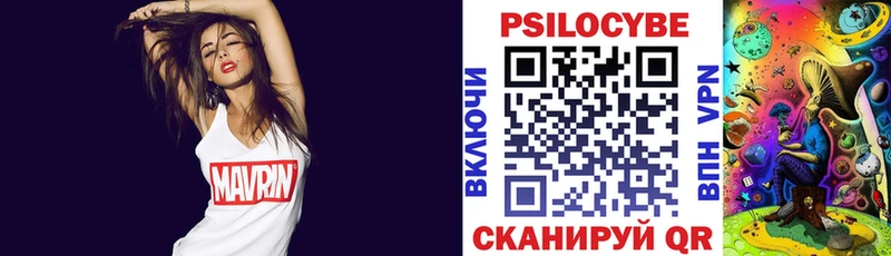 Псилоцибиновые грибы Psilocybe  купить наркоту  Богородск 