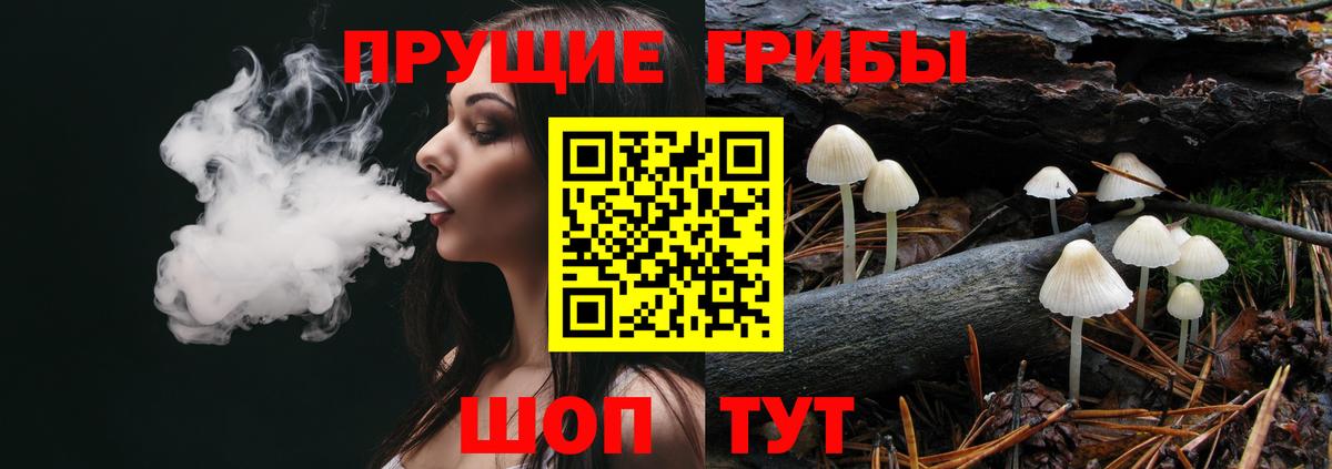 Галлюциногенные грибы GOLDEN TEACHER  Вход с VPN  Богородск  где купить наркоту  Галлюциногенные грибы Cubensis 